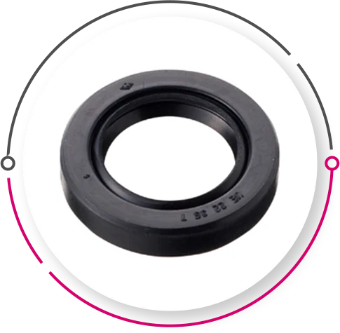 Oil Seals